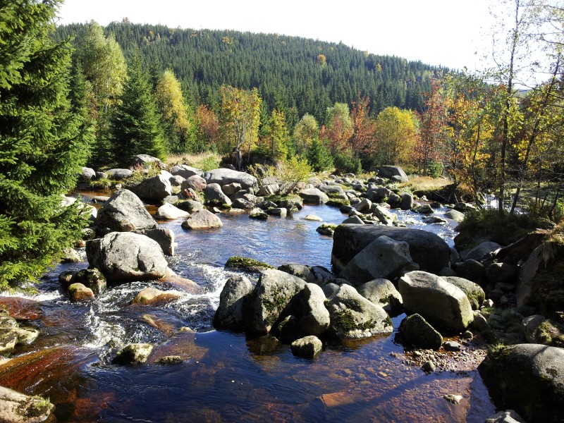 2013-09-29 11.28.44.jpg