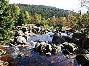 2013-09-29 11.28.44.jpg