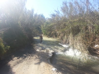 Malaga Den6 brod