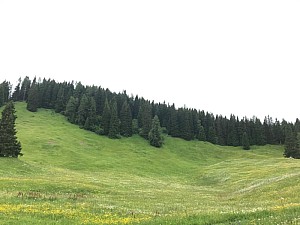 Davos_2021_07_04_18.09.55_5.jpg