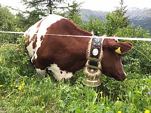 Davos_2021_07_05_19.32.53.jpg