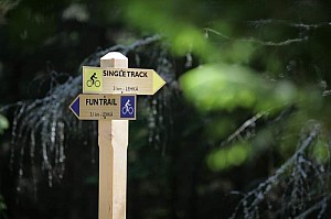 img_4502.jpg