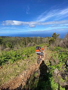 Madeira_2021_014_014.jpg