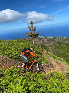 Madeira_2021_016_016.jpg