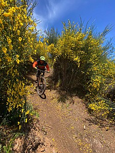 Madeira_2021_023_023.jpg