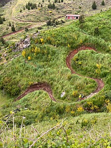 Madeira_2021_024_024.jpg