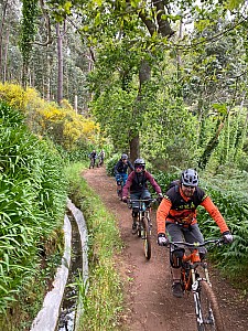 Madeira_2021_026_026.jpg
