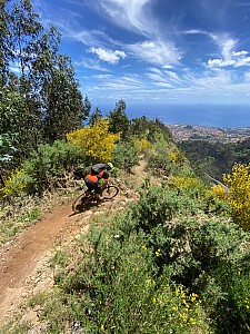 Madeira_2021_036_036.jpg