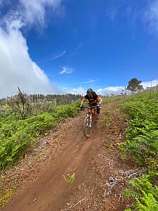 Madeira_2021_042_042.jpg