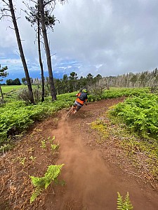 Madeira_2021_043_043.jpg