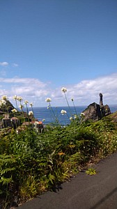 Madeira_2021_087_087.jpg