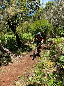 Madeira_2021_110_110.jpg