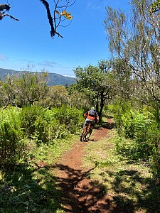 Madeira_2021_111_111.jpg