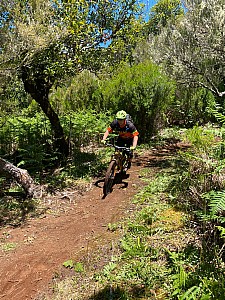 Madeira_2021_114_114.jpg