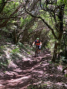 Madeira_2021_117_117.jpg