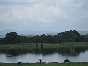 img_0119.jpg