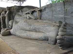 img_0190.jpg
