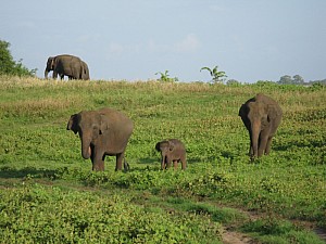 img_0273.jpg