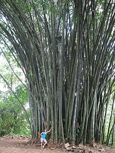img_0397.jpg