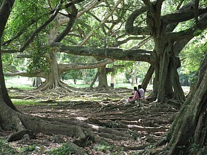 img_0416.jpg
