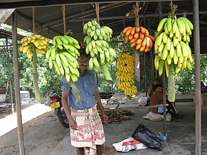 img_0444.jpg