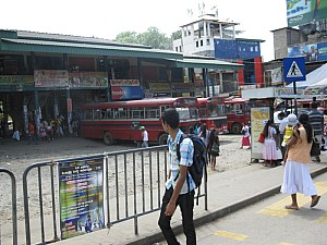img_0458.jpg