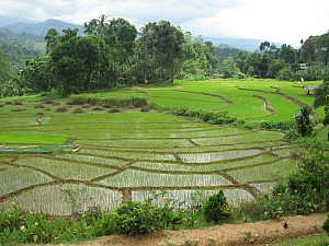 img_0460.jpg