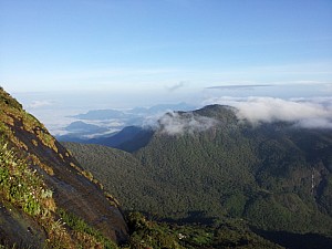 img_0513_2013-11-11 06.48.56.jpg