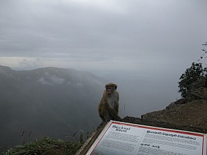 img_0607.jpg