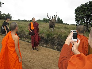 img_0633.jpg