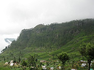 img_0666.jpg