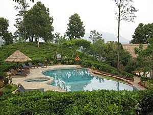 img_0797.jpg