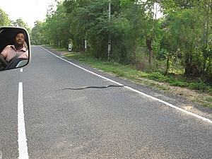 img_0879.jpg