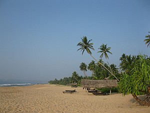 img_0916.jpg