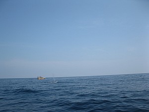 img_0970.jpg