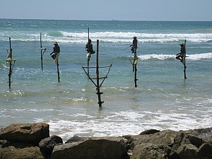 img_1117.jpg