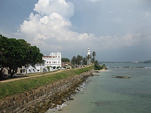 img_1126.jpg
