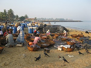 img_1135.jpg