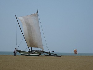 img_1153.jpg
