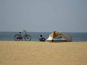 img_1167.jpg